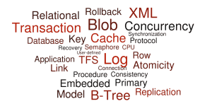 RaimaDMA040_Database_Terminology_Pic1