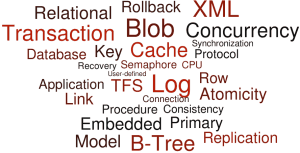 Database terms